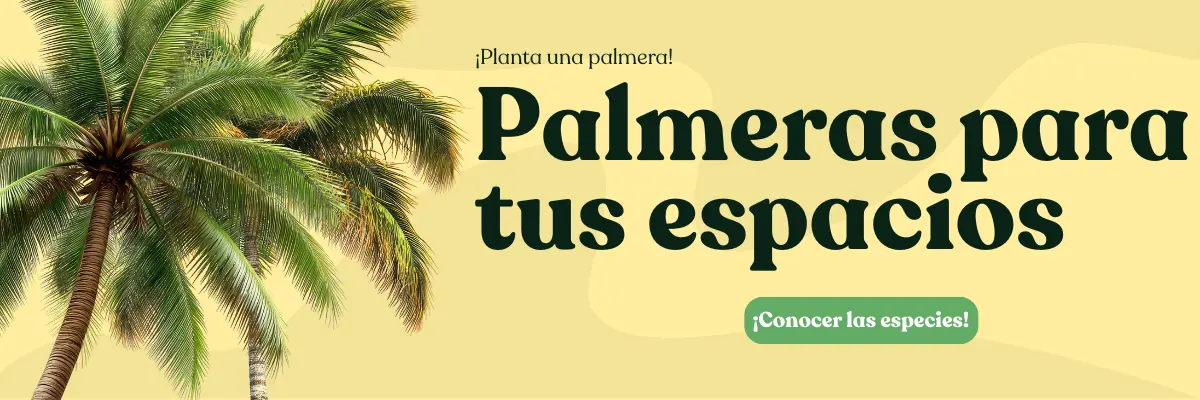 diseño sin título 3