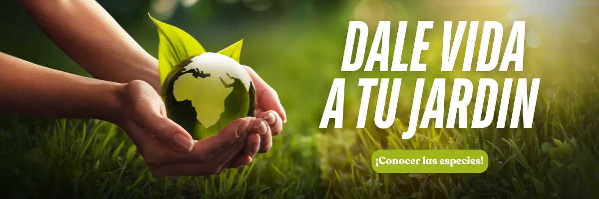 diseño sin título 4