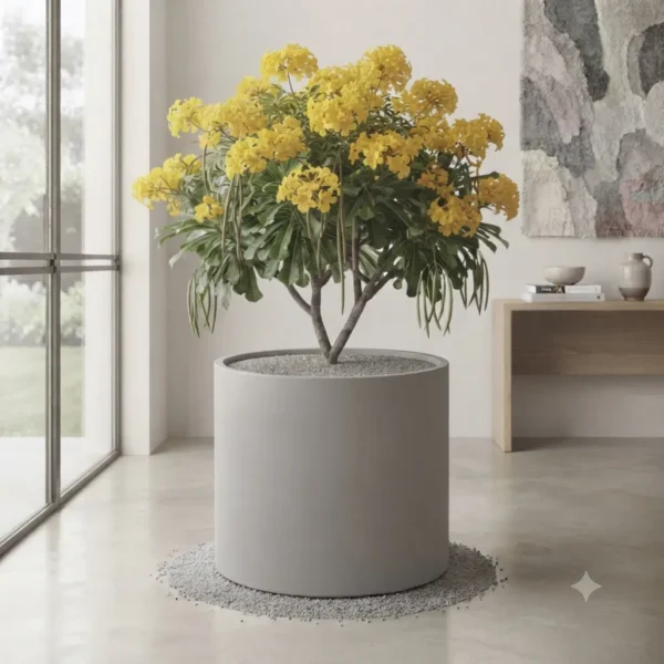 guayacán amarillo – handroanthus chrysanthus, Árbol ornamental tropical