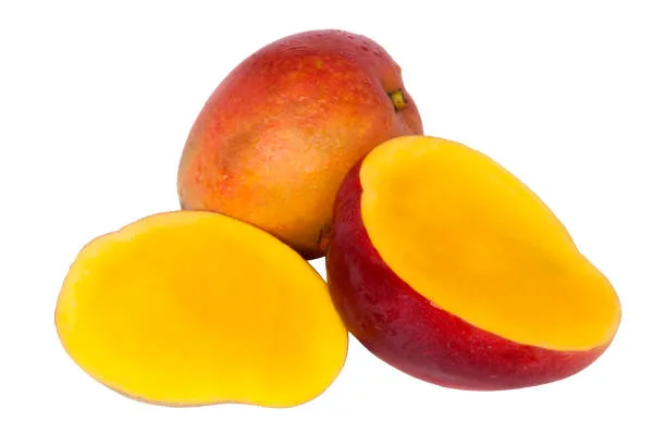mango tommy – Árbol frutal tropical