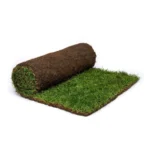 rollo de pasto e1586991866957